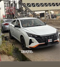 Dongfeng Shine